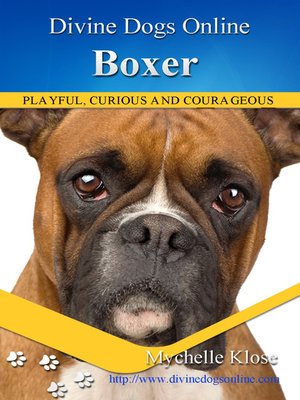cover image of Boxer